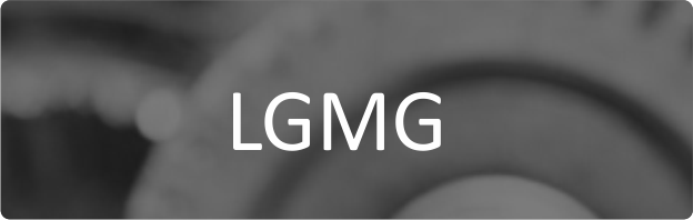 LGMG