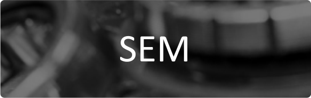 SEM