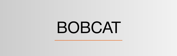 Bobcat